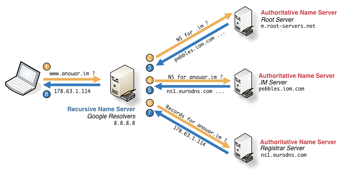 DNS resolution workflow